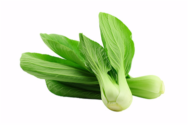 bok choy leaves