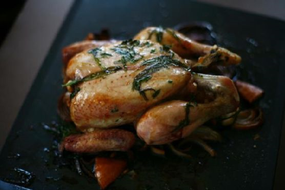 Roast Chicken With Red Wine