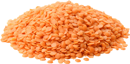 dried red lentils