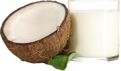 unsweetened coconut milk