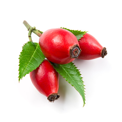 rosehips