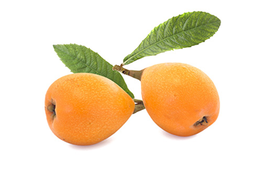 loquat