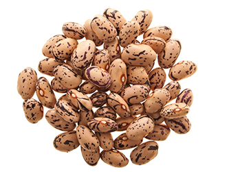 pinto beans