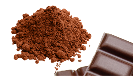 dutch processed cocoa powder