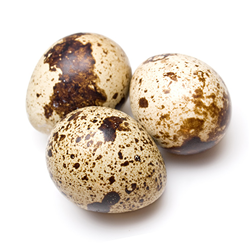 quail eggs