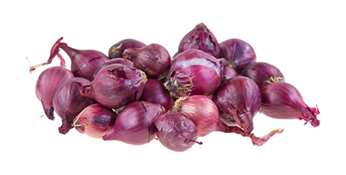 red pearl onion