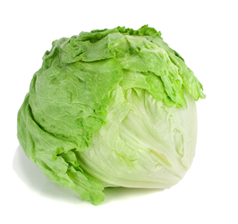 iceburg lettuce leaves