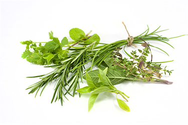 fresh herbs