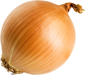 onion