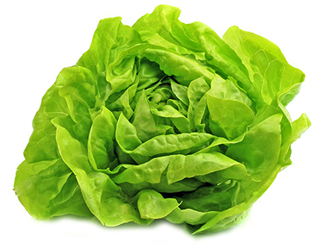 butter lettuce leaves