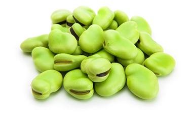 canned fava beans