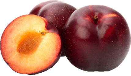 red plum